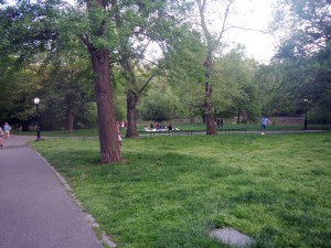DSCN2089