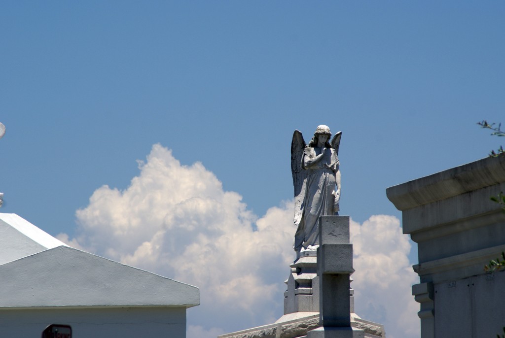 SONY DSC
