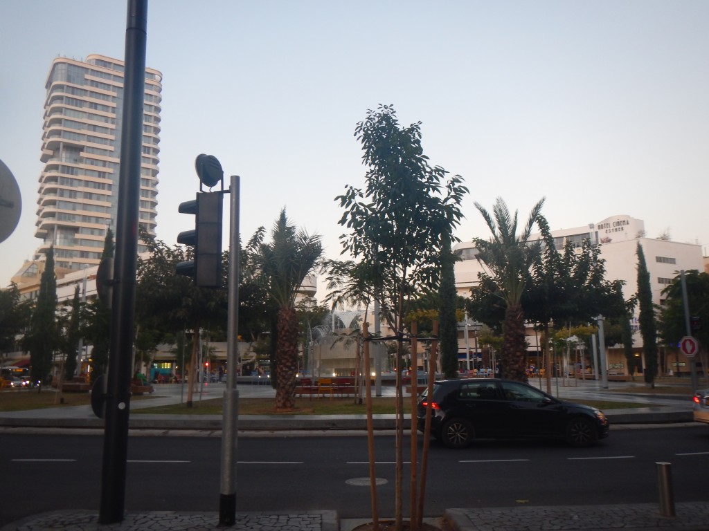 DSCN6125