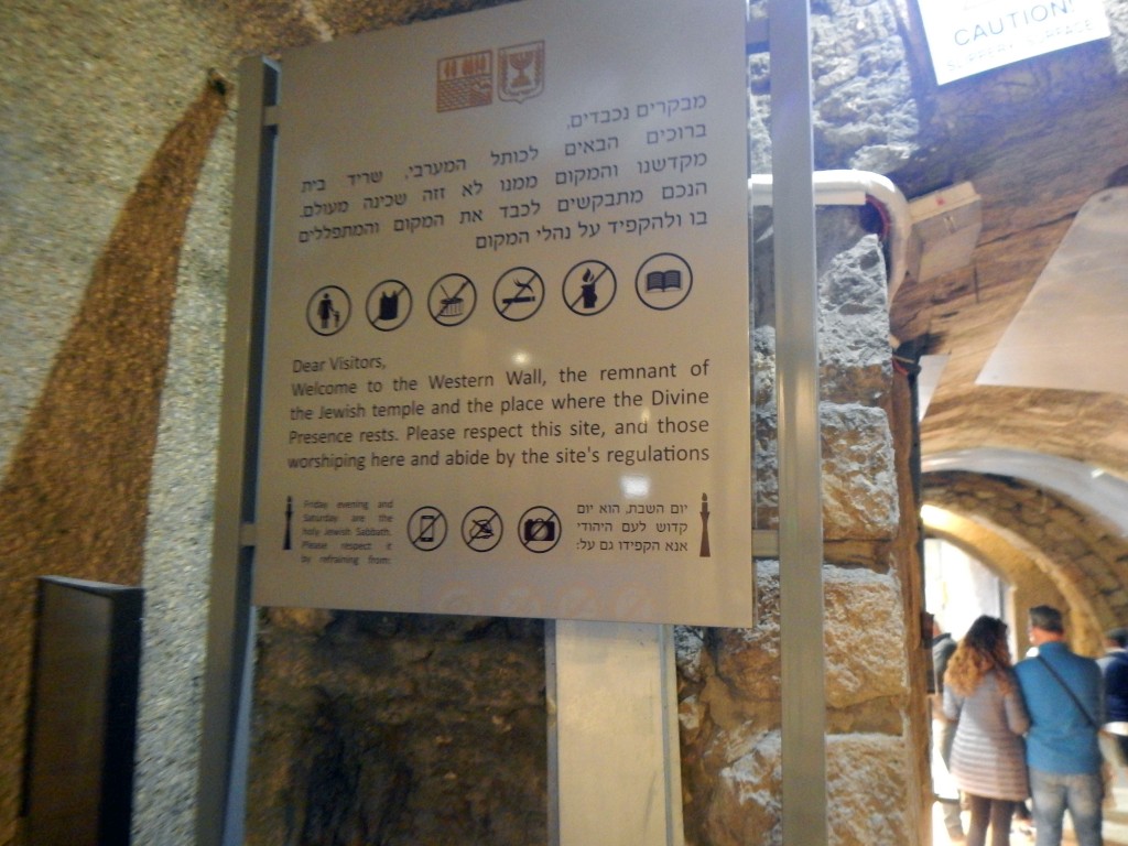 DSCN6155