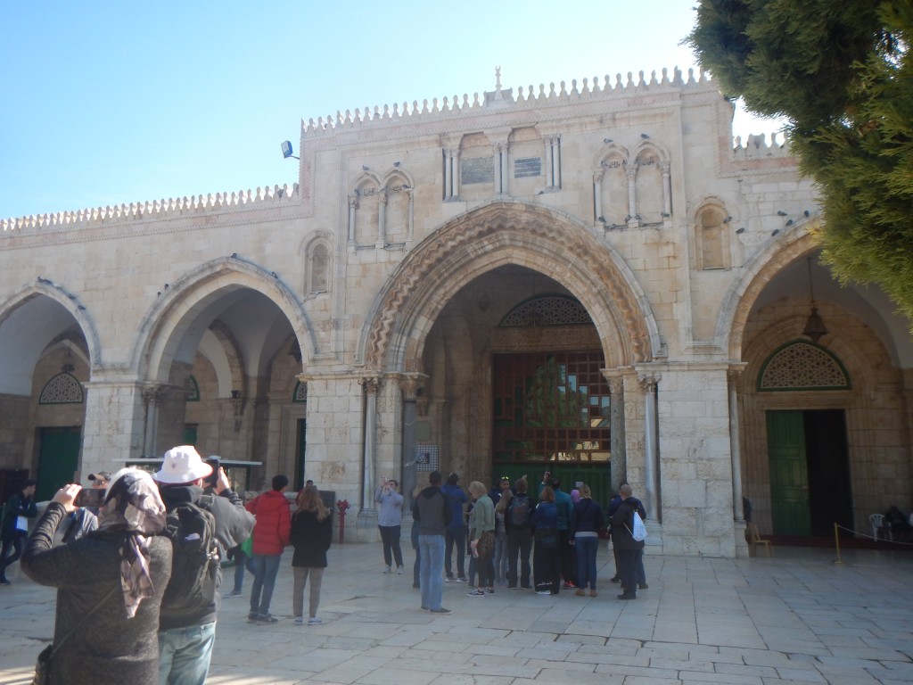 DSCN6189