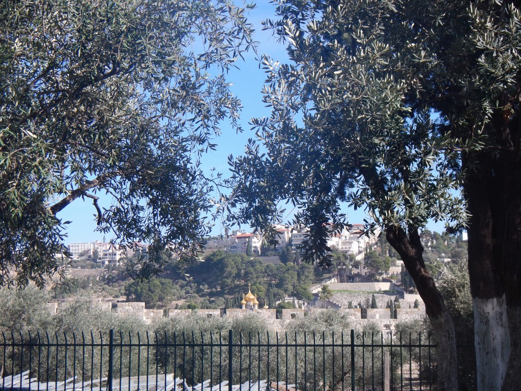 DSCN6205