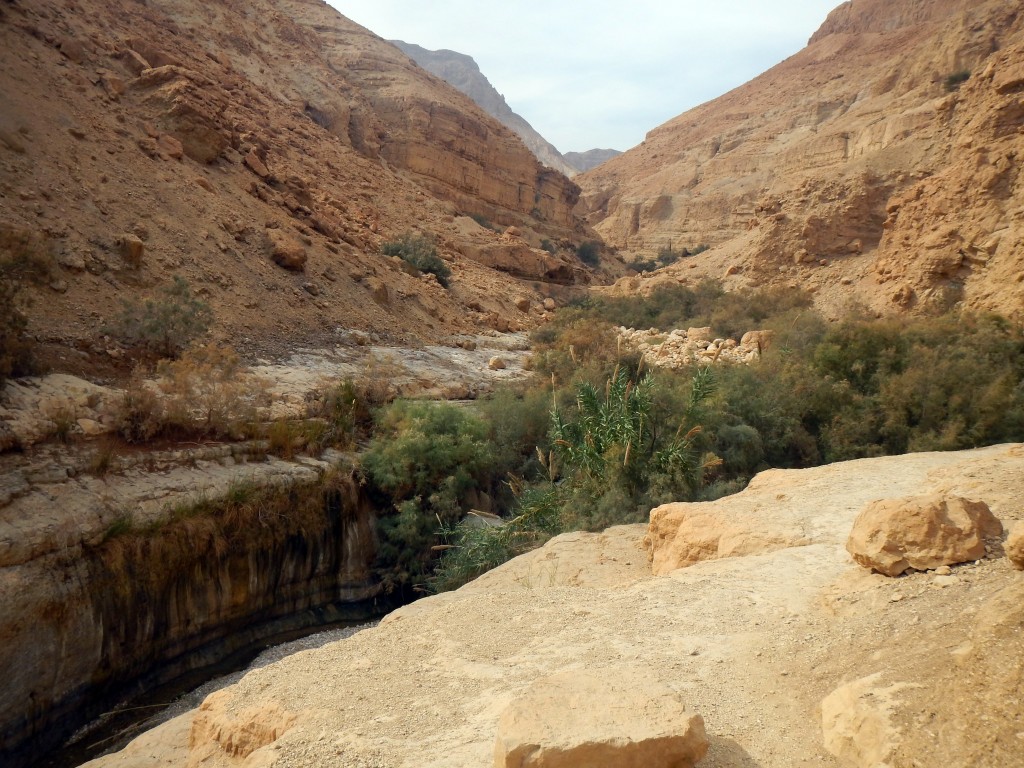 DSCN6272