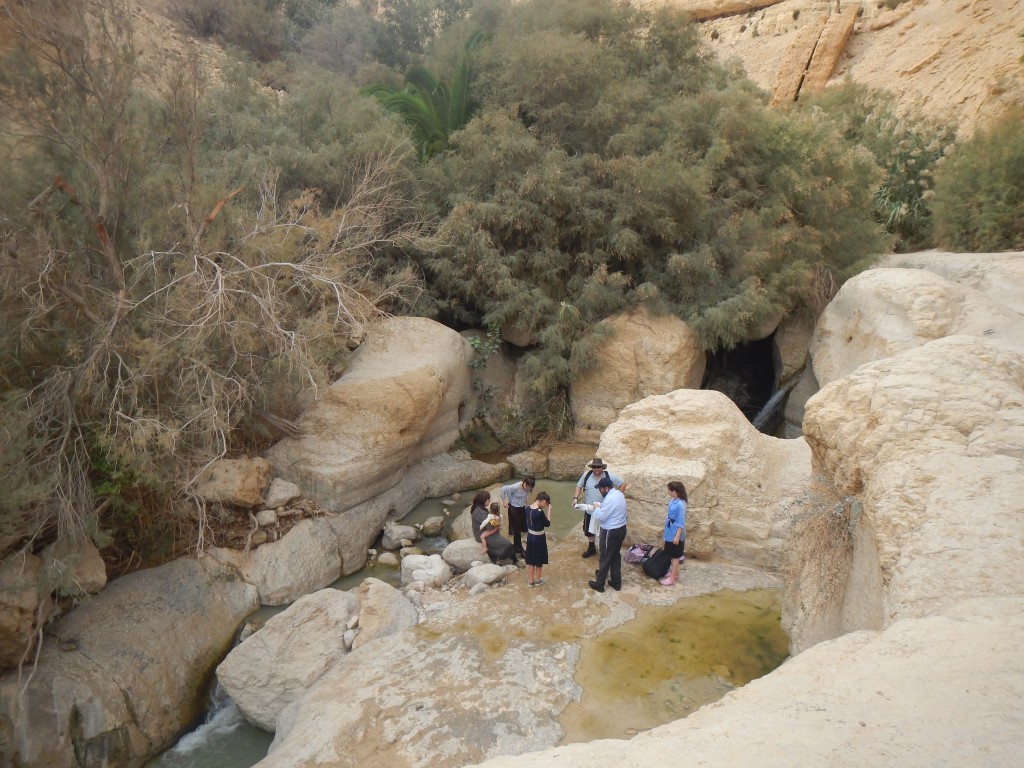 DSCN6278