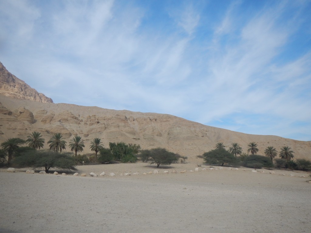 DSCN6305